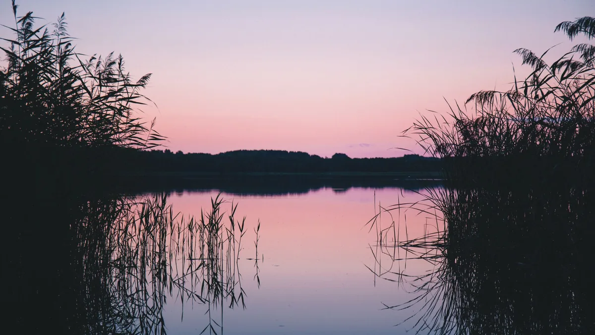 Serene twilight scene of a calm lake with stunning reflections and silhouettes of plants.