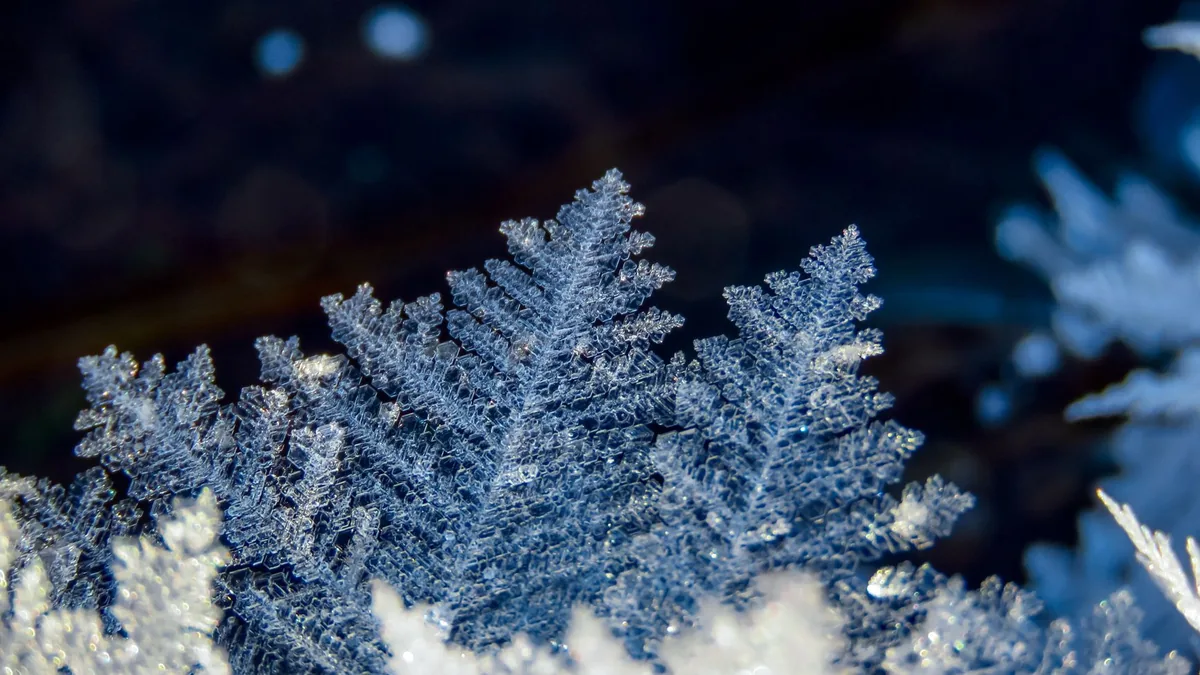 Intricate close-up capture of a detailed snowflake showcasing natural beauty of winter crystal formations.